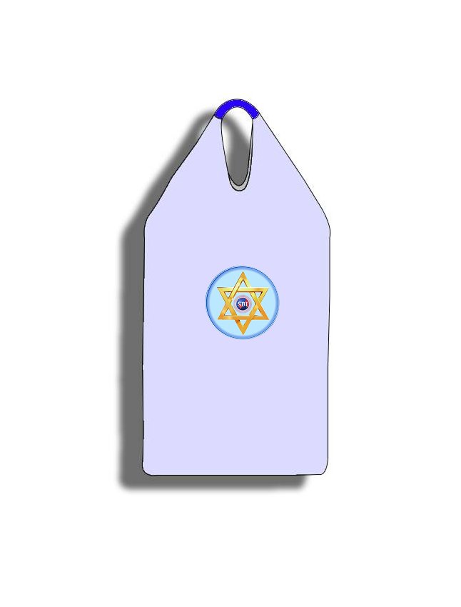 Single Loop Bag